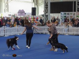 Haustiermesse am 1.03.2026